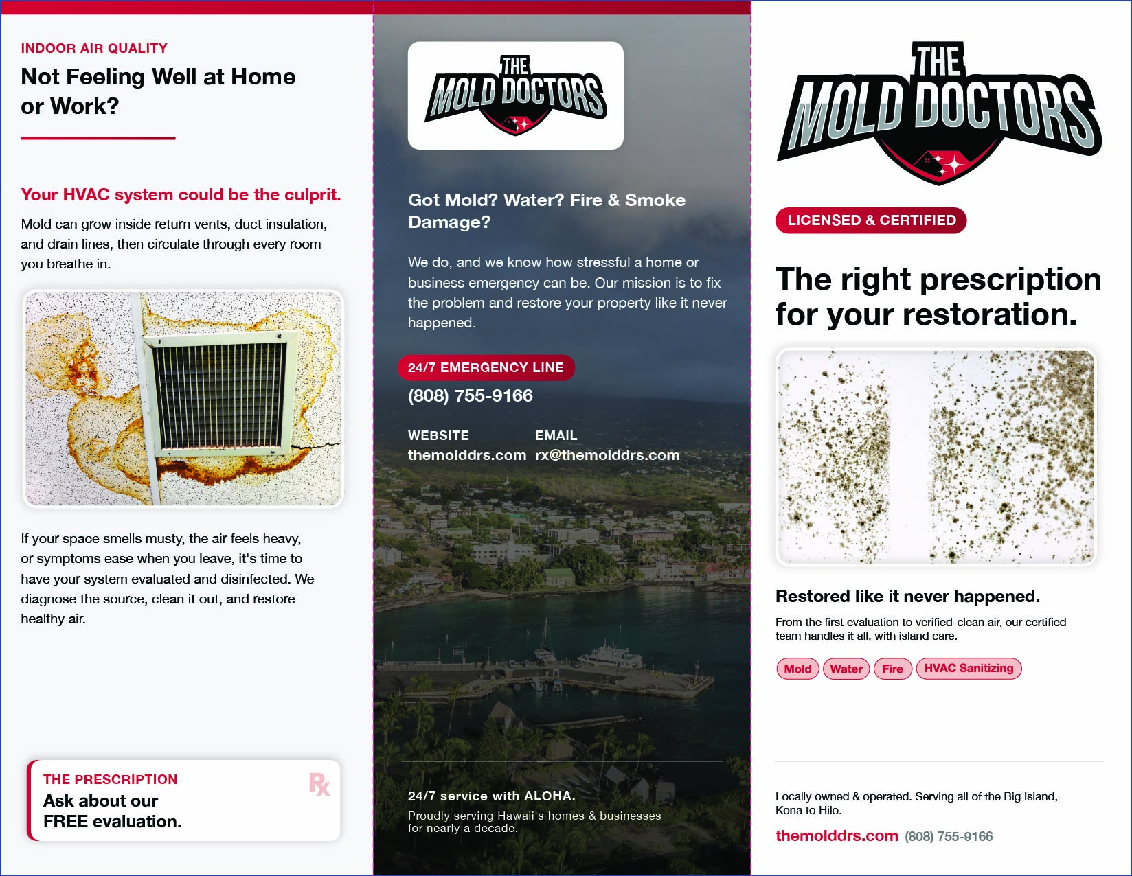 Print Materials